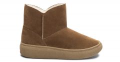 Mini Winter Camel